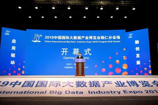 2019中國國際大數(shù)據(jù)產(chǎn)業(yè)博覽會(huì)銅仁分會(huì)場(chǎng)開幕 共繪“智慧銅仁”新藍(lán)圖