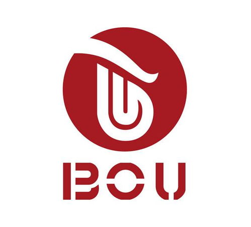 BOU商標(biāo)在第16類（辦公用品）的注冊(cè)狀態(tài)查詢指南與信息解析